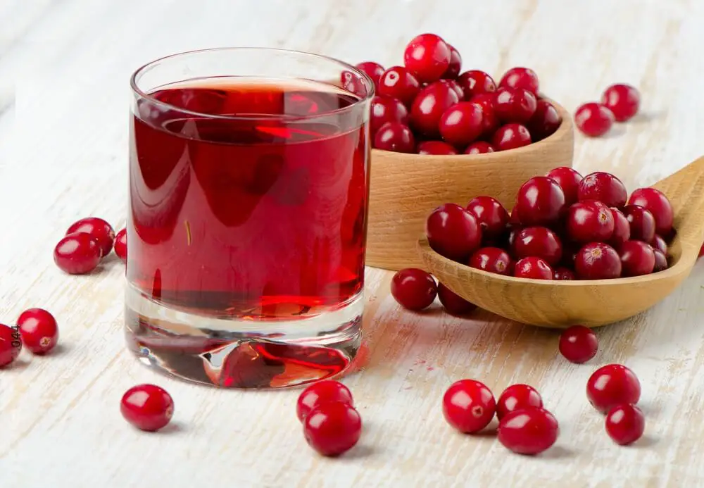 Best Substitutes for Cranberry Juice