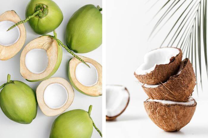 Brown Coconuts Vs. Green Coconuts