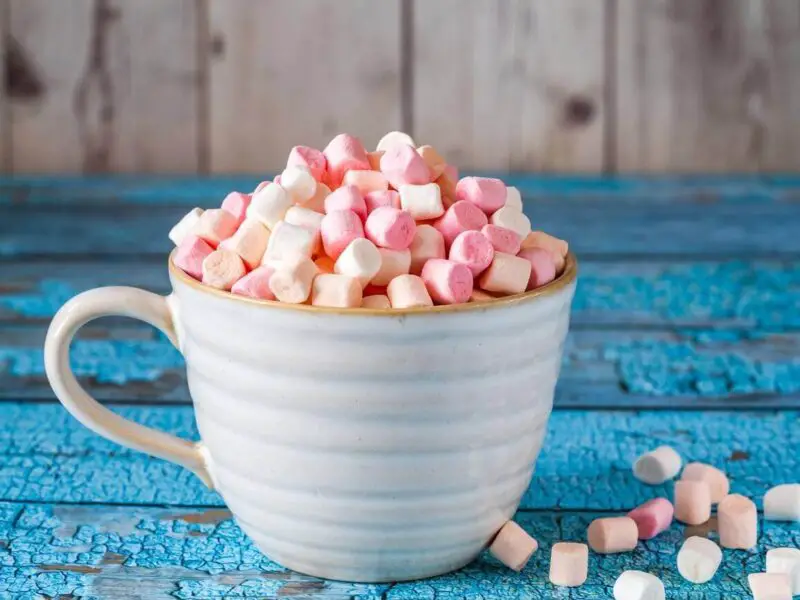 Can You Freeze-Dry Marshmallows