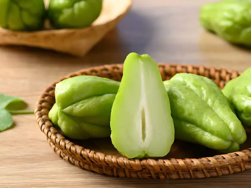 Best Chayote Squach Substitutes
