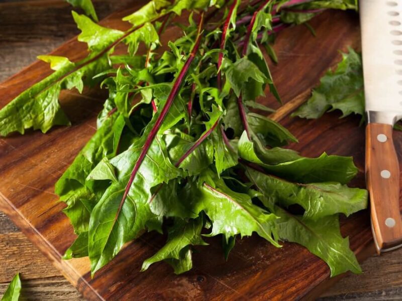 Best Dandelion Greens Substitutes