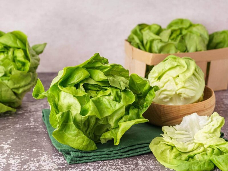 Best Substitutes for Bibb Lettuce