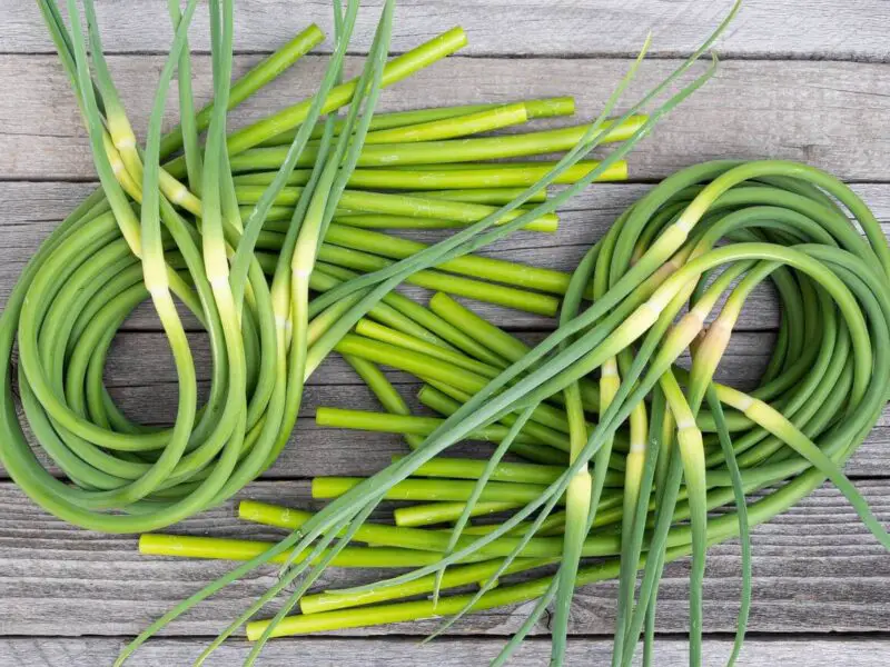 Best Substitutes for Garlic Scapes