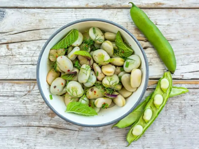 Best Substitutes for Fava Beans