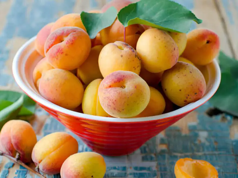 What Do Apricots Taste Like